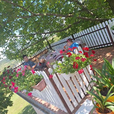 Guest House Jevtovic Sremski Karlovci Buitenkant foto