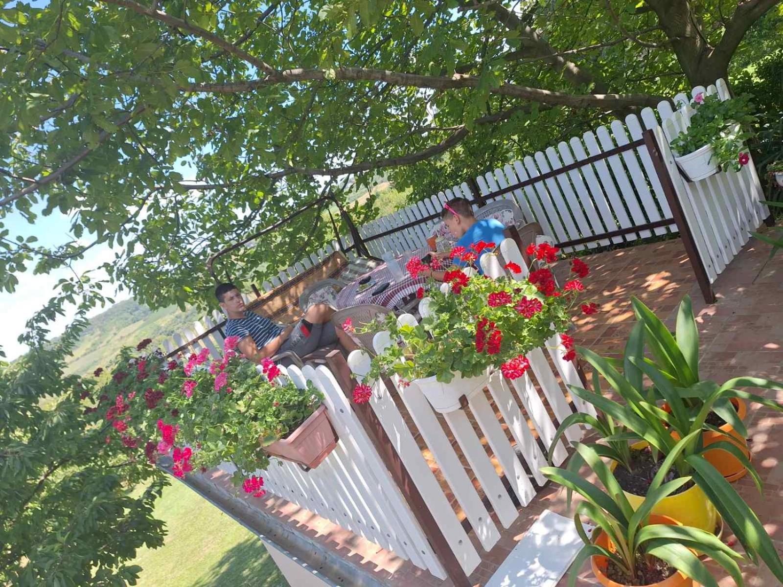Guest House Jevtovic Sremski Karlovci Buitenkant foto