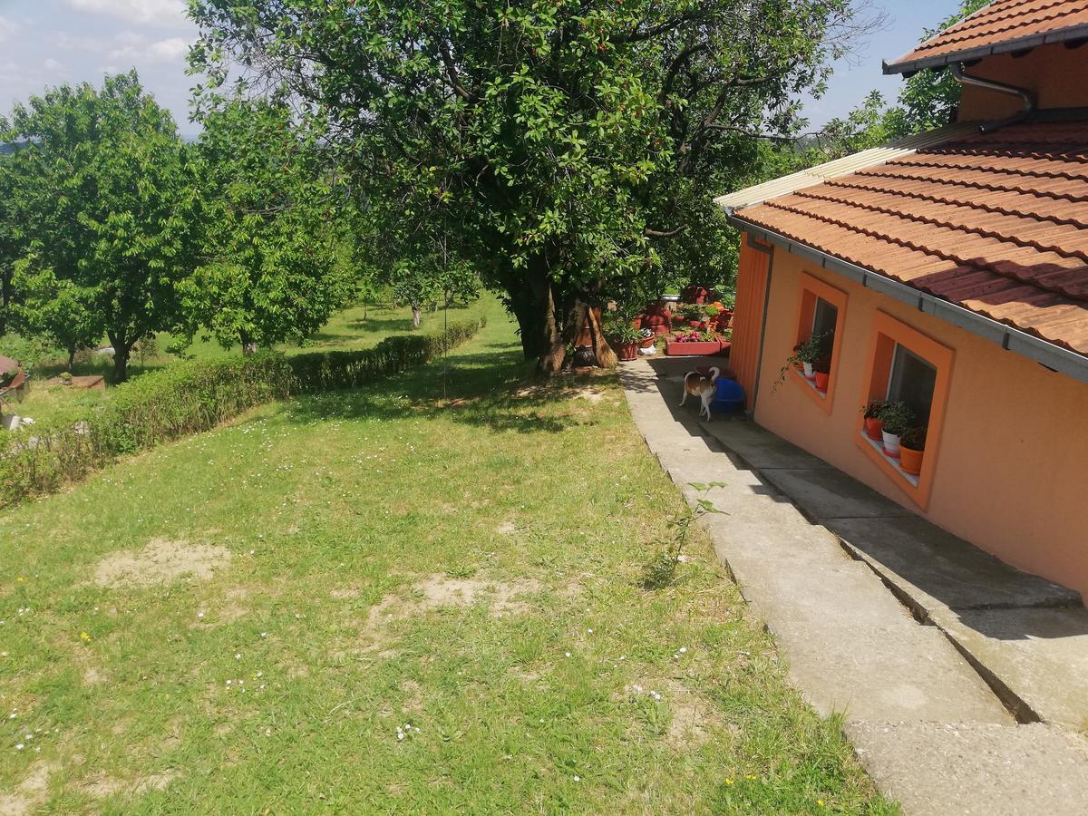 Guest House Jevtovic Sremski Karlovci Buitenkant foto