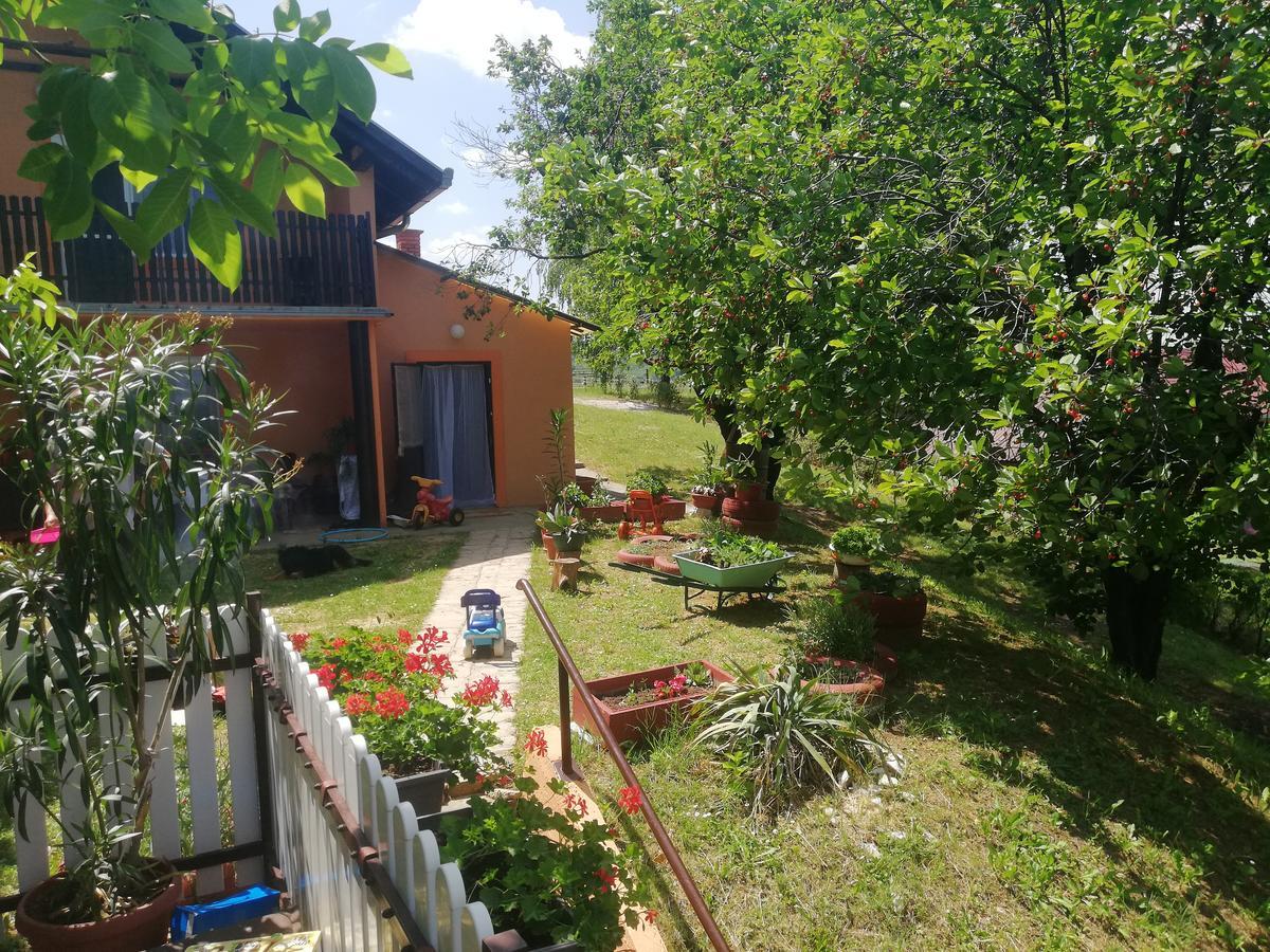 Guest House Jevtovic Sremski Karlovci Buitenkant foto