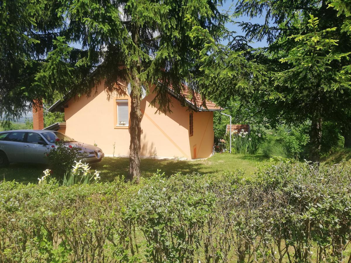 Guest House Jevtovic Sremski Karlovci Buitenkant foto