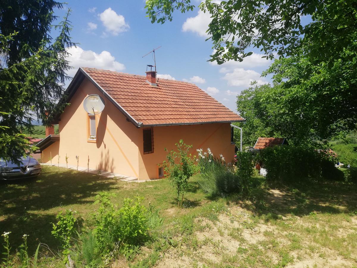 Guest House Jevtovic Sremski Karlovci Buitenkant foto