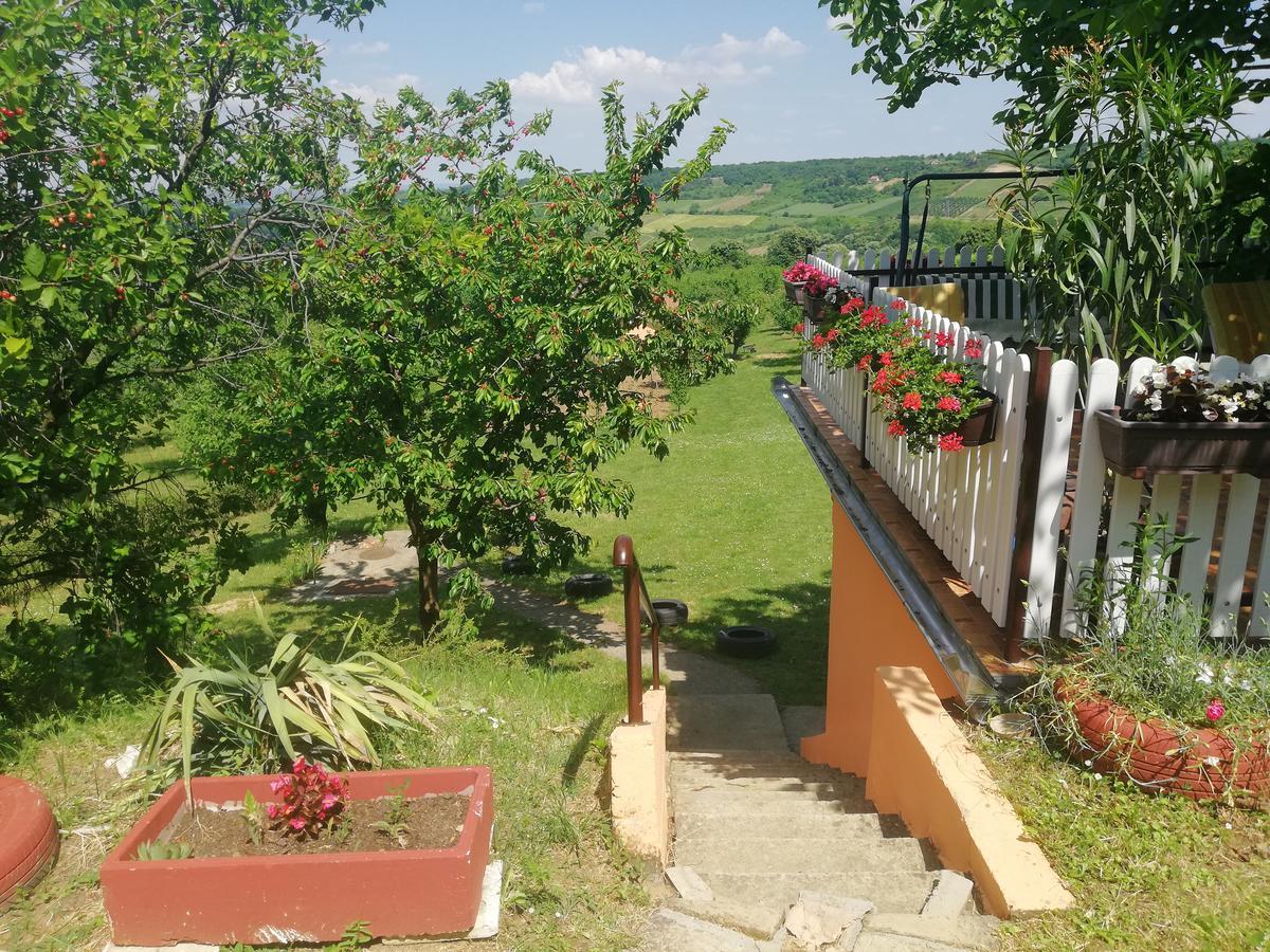 Guest House Jevtovic Sremski Karlovci Buitenkant foto