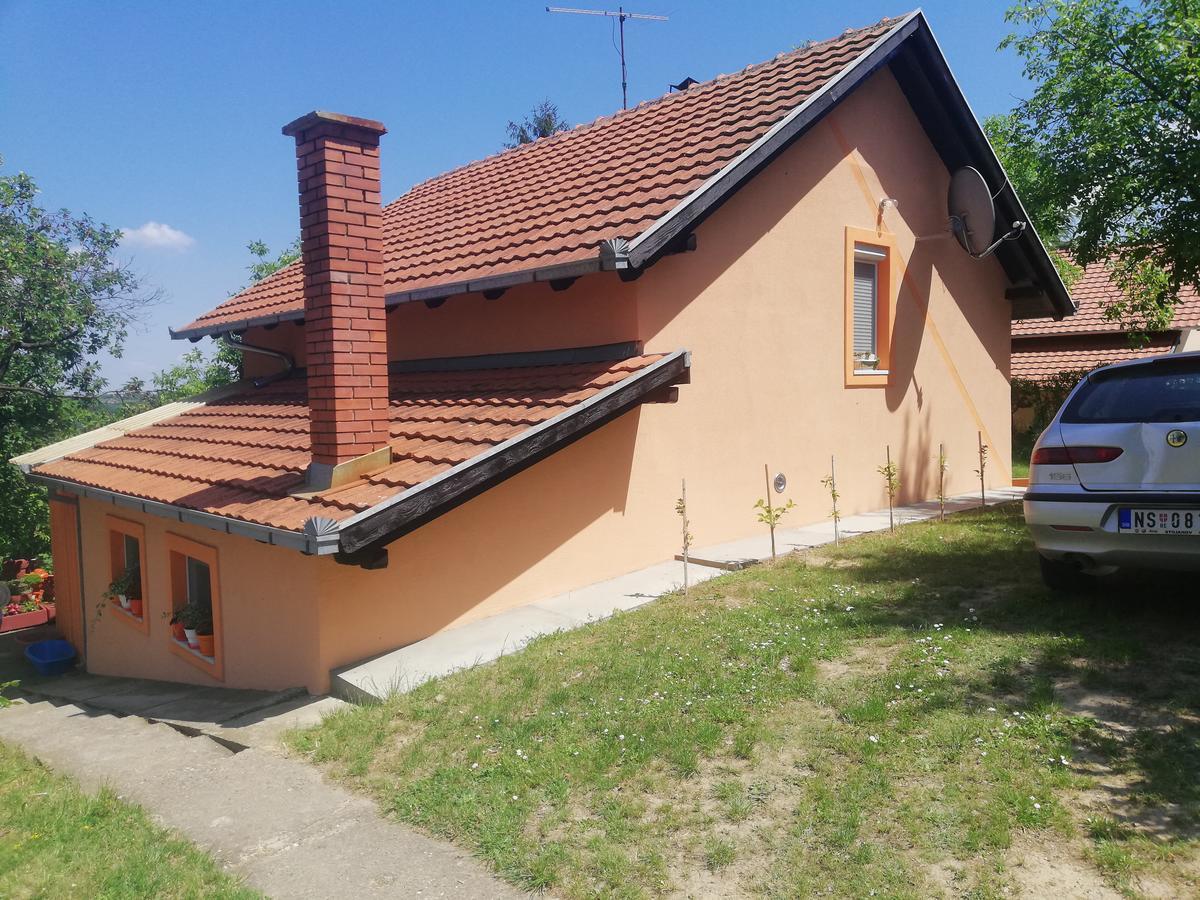 Guest House Jevtovic Sremski Karlovci Buitenkant foto